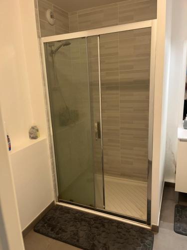 une douche avec une porte vitrée dans une salle de bain dans l'établissement Appartement Moderne au cœur de Montpellier, à Montpellier