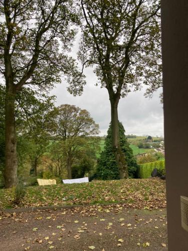 a view of a park with trees in the background at Country Mill House in Lawrencetown