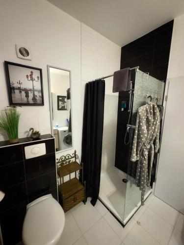 une salle de bain avec douche et toilettes dans l'établissement 