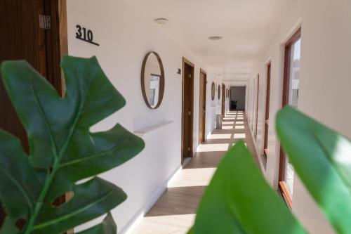 a hallway in a building with a green plant at Six Hotel Guadalajara Degollado in Guadalajara