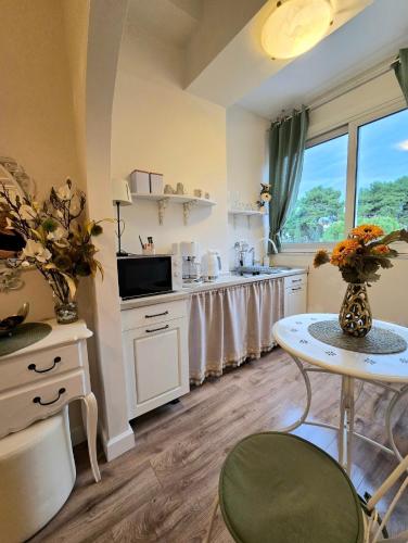 Apartments Suzy