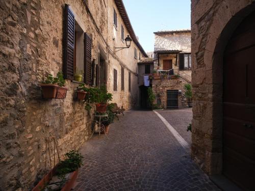 an alley in an old stone building with potted plants at La casa di nonna Clara in Montecchio