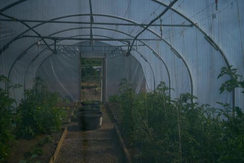 a greenhouse full of plants in a field at Boath House Hotel in Nairn