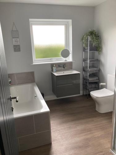 a bathroom with a sink and a toilet and a window at Orchard Cottage At Gretna in Gretna