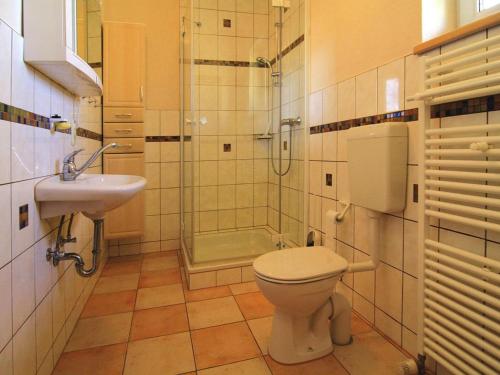 a bathroom with a toilet and a shower and a sink at Ferienwohnung, Lohmen in Lohmen