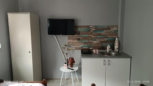 eine Küche mit einem Waschbecken und einem TV an der Wand in der Unterkunft Happy Star in Niš