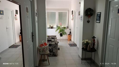 Fotografie z fotogalerie ubytování Happy Star v destinaci Niš