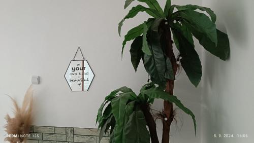 Fotografie z fotogalerie ubytování Happy Star v destinaci Niš