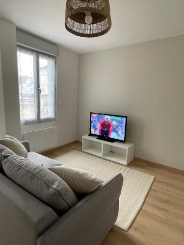 un salon avec un canapé et une télévision à écran plat dans l'établissement Charmant studio dans le quartier historique, à Châteauroux