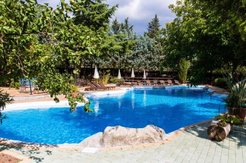 a large swimming pool with chairs and a rock at Agriturismo La Locanda Del Parco in Morano Calabro