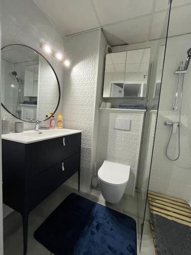 une salle de bain avec toilettes, lavabo et miroir dans l'établissement L'aile du Moulin, à Magny-le-Hongre