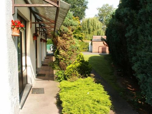a garden with green plants next to a building at Résidence Rachel 13 in Mons