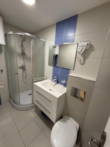 a bathroom with a toilet and a shower and a sink at Villa Jelena in Banja Koviljača