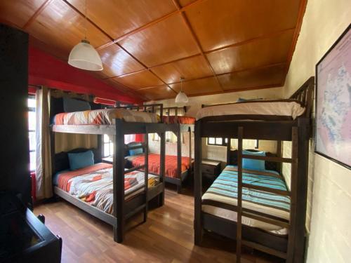 Habitación con 3 literas en un autobús en El Balcón del Aventurero, en San Cristóbal de Las Casas