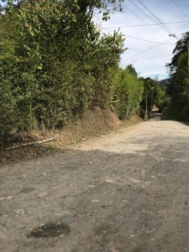 an empty road with trees on the side of it at Quirama Lodge in Carmen de Viboral
