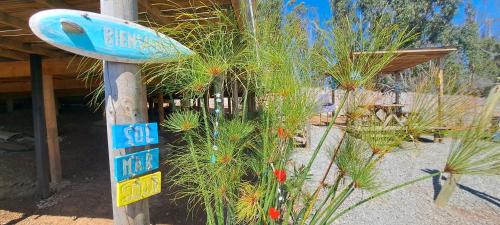 a sign in a garden with some plants at Algarrobo Tinaja Caliente Privada Lista para Disfrutar in Tunquen