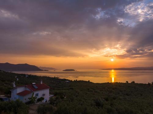 The House of the Rising Sun