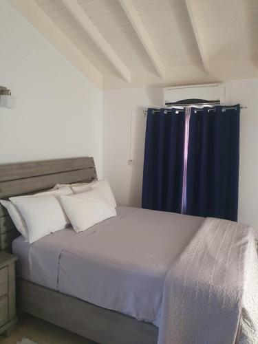 Postel nebo postele na pokoji v ubytování Wilson's Trelawny Villa