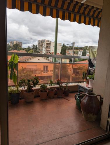 - un balcon avec une bande de plantes en pot dans l'établissement 4 people, 15 minutes from Cannes, au Cannet
