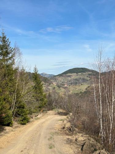 a dirt road with trees and a mountain in the background at Guest House Golijski Dar in Dajići