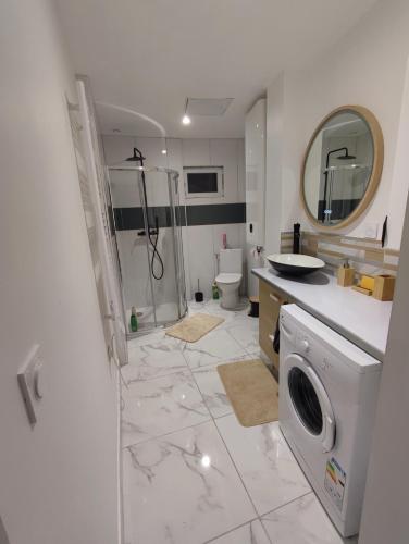 une salle de bain avec un lavabo et une machine à laver dans l'établissement Cœur de la savane, à Bourges