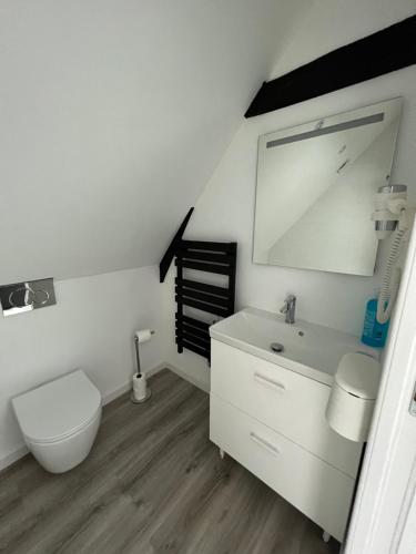 une salle de bain blanche avec des toilettes et un lavabo dans l'établissement Dakar - vivez au cœur de la ville, à Reims