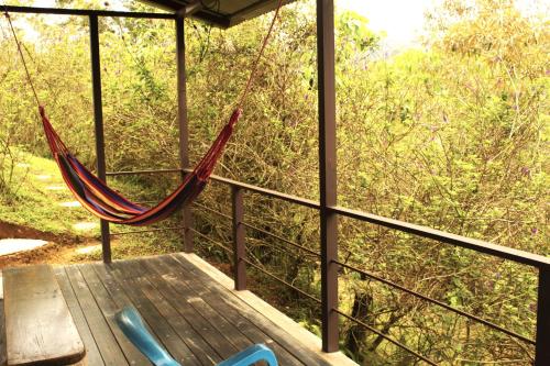 a hammock on a deck with a view of trees at Cabañas Colibrí Tayutic in Turrialba