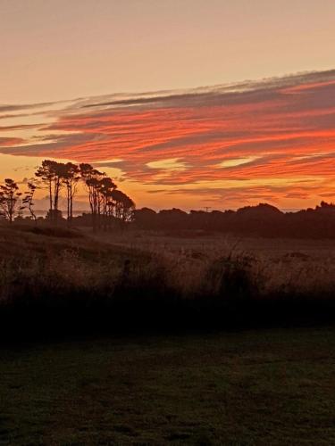 una puesta de sol en un campo con árboles en el fondo en Tiny House 2 by the beach, en Greymouth