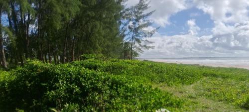 a grassy hill with trees and a beach at APARTAMENTO x 4 pessoas no VILLAGE DAIANE TAQUARY Guaibim Valença Bahia in Valença