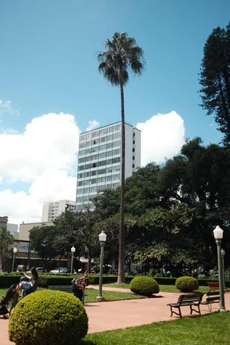 a palm tree in a park with a building at Apto no Centro, Conforto e Estilo in Poços de Caldas
