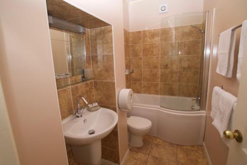 a bathroom with a sink and a toilet and a shower at Chynoweth Lodge in Newquay