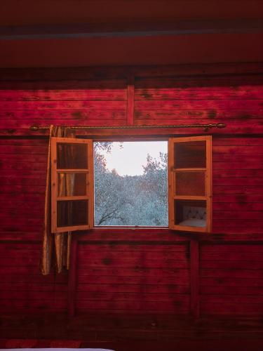 Μια τηλεόραση ή/και κέντρο ψυχαγωγίας στο The blue house