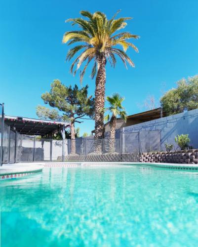 a swimming pool with a palm tree in the background at VacationHome with Spa Pool & Relaxing Gardenyard in Las Vegas