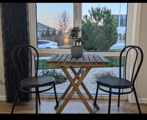 a wooden table with two chairs and a potted plant on it at Cozy & Lux 1 Bed Studio Retreat in Weston Creek