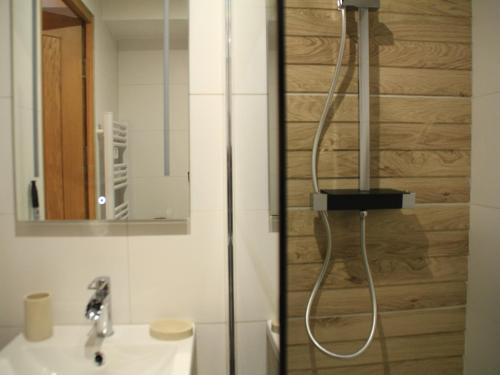 沙泰勒Apartment in Portes du Soleil ski area的浴室配有淋浴和洗手池