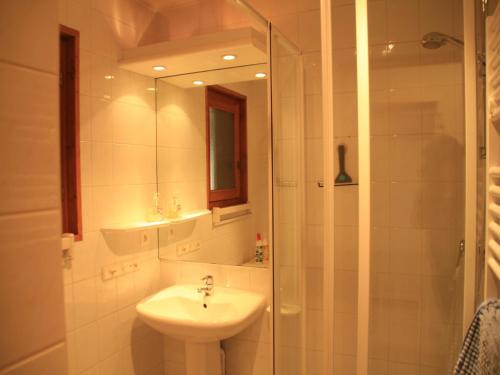 Spacious apartment in Chatel