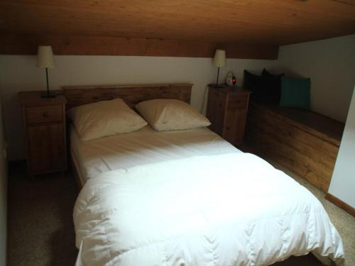 Apartment in Chatel for four people