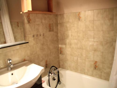 Apartment in Chatel near Chairlift