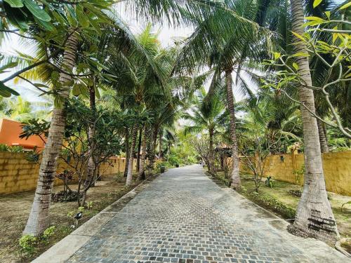 a cobblestone road with palm trees on either side at Full Moon Village Resort in Mui Ne