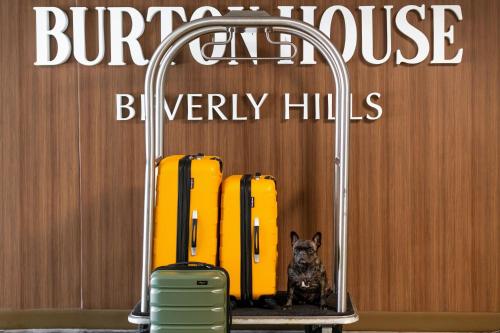 Burton House, Beverly Hills, A Tribute Portfolio Hotel photo 98