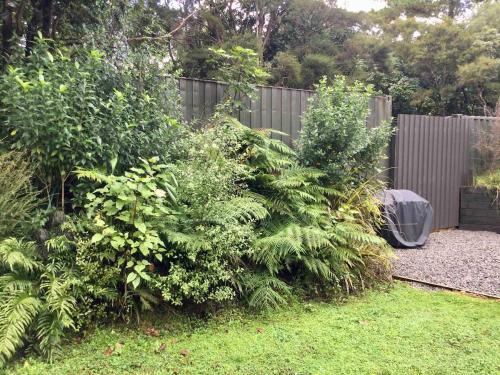 a garden with trees and bushes in front of a fence at The Grumpy Trout Lodge #Outdoors on our #doorstep! in Turangi