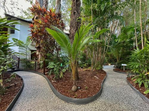 a garden with a palm tree and a walkway at The Reef Retreat Palm Cove in Palm Cove