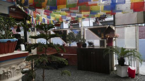 Best Hostel in Thamel