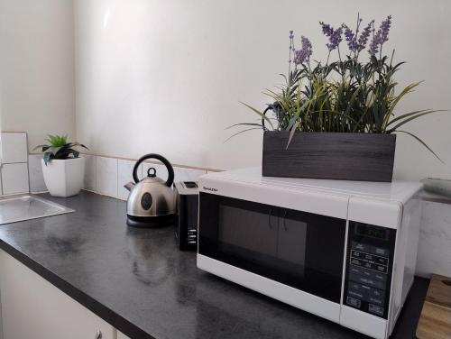a kitchen counter with a microwave with a tea kettle on it at Corella Accommodation 1A in Boulder