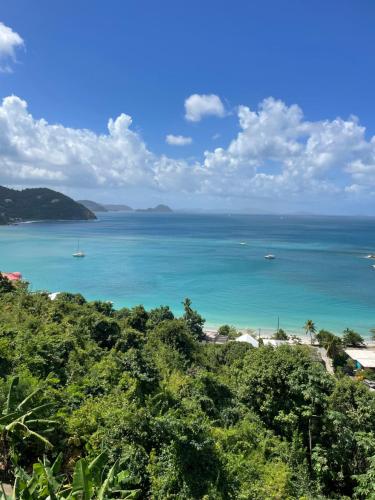 Fotografie z fotogalerie ubytování Bay View Villa v destinaci Tortola Island
