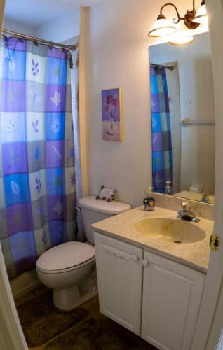 a bathroom with a toilet and a sink and a mirror at Heron's Nest in Port Saint Lucie
