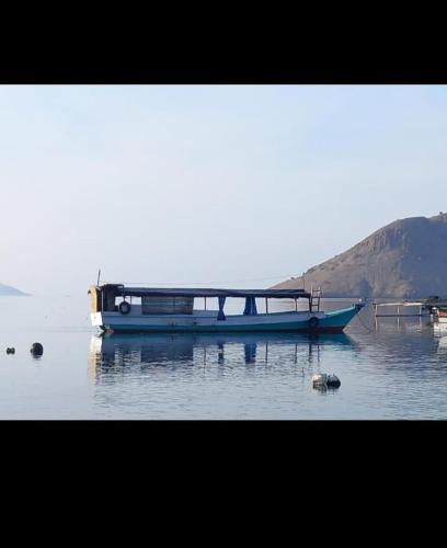 a blue boat sitting in the water on a lake at Rusde's Komodo Homestay in Pulau Komodo