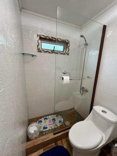 a bathroom with a toilet and a glass shower at Cabañas en Valdivia in Valdivia