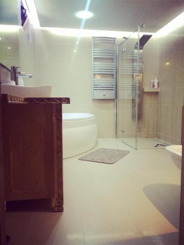 a bathroom with a shower and a toilet and a sink at Siumno Izba B&B Brzegi in Brzegi