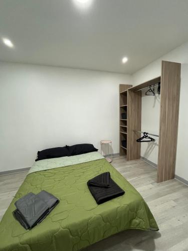 une chambre avec un lit avec une couverture verte dans l'établissement Lovely Emile Zola apartment, à Laxou